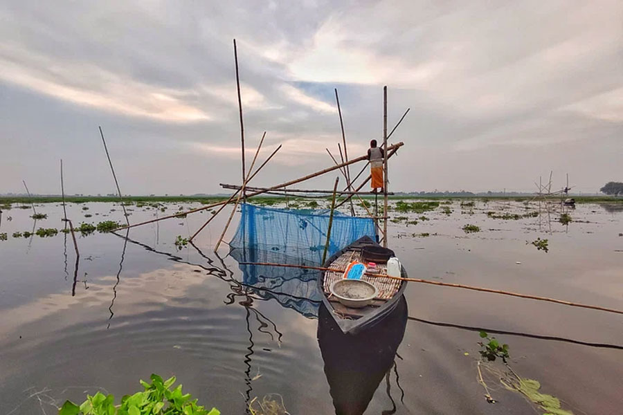 বিলের পানিতে মাছ শিকার করতে জাল পেতেছেন জেলেরা। সূর্য ডুবে সন্ধ্যা নামলেও চলছে মাছ ধরার চেষ্টা।